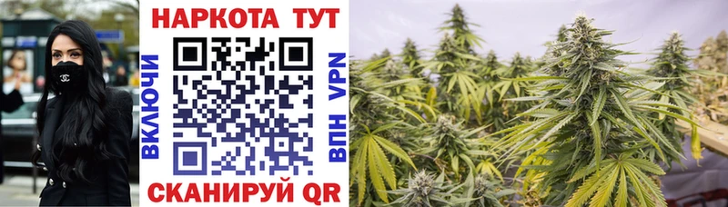Какие есть наркотики Дальнегорск ГАШИШ  Alpha-PVP  Мефедрон  MEGA tor  Каннабис 