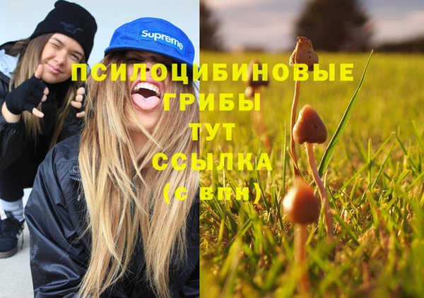 СК Богданович