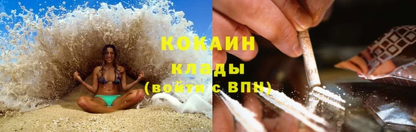 прущая мука Бородино